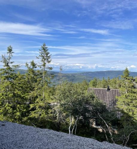 a view from the top of a hill with trees at Stylish cabin at Lifjell with jacuzzi and sauna in Bø