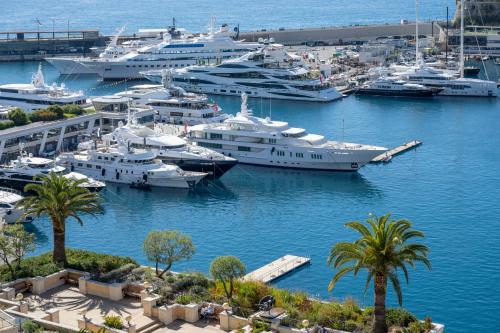 Hôtel Hermitage Monte-Carlo photo 63