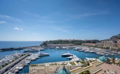 Hôtel Hermitage Monte-Carlo photo 59