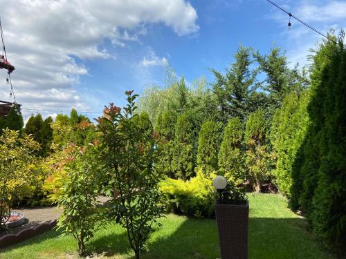 a garden with trees and bushes on a sunny day at Casa Maruska in Murighiol