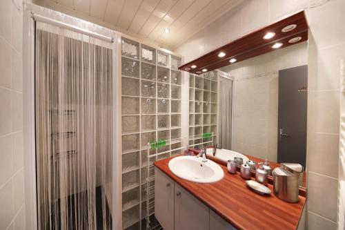 une salle de bain avec un lavabo et une douche dans l'établissement Les Xettes - Appartement vue montagne, à Gérardmer