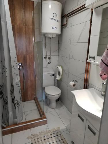 Gallery image of Apartmani planina Goč in Goč