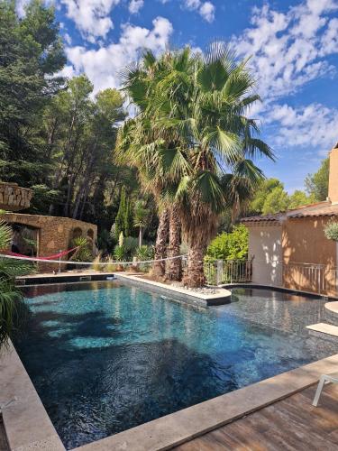 - une piscine avec un palmier dans la cour dans l'établissement Villa raffinée avec piscine à Aubagne - Jacuzzi inclus, à Aubagne