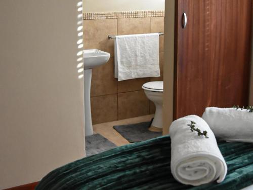 a bathroom with a toilet and a sink and a towel at River Olive Estate Accommodation in Beaufort West