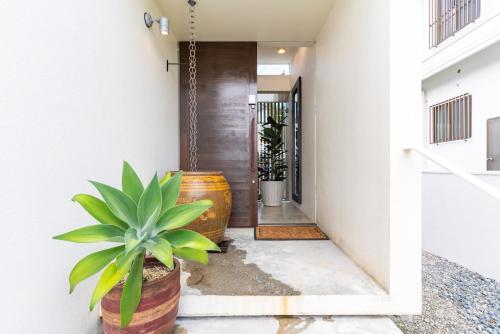a hallway of a house with a potted plant at Comfort Villa YAGAJI in Nago
