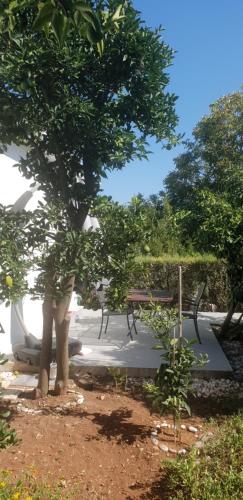 Φυσικό τοπίο κοντά σε αυτό το διαμέρισμα