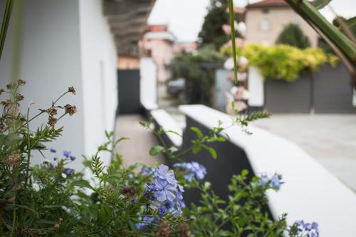 a garden with purple flowers and a white wall at Le camere del Cappello Verde in Ivrea
