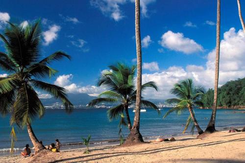 a group of palm trees on a beach with the ocean at Appartement SERENITE, tout confort 2adultes 1 enft in Les Trois-Îlets