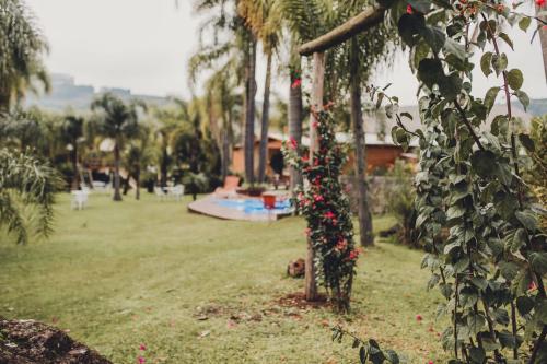 a park with a bunch of flowers on a tree at Casarão Biazolli in Farroupilha