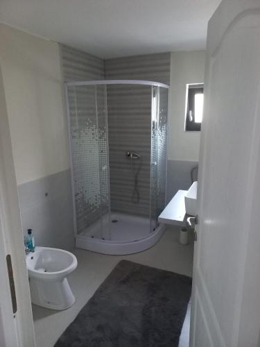 a bathroom with a shower and a toilet and a sink at Casa Edy in Vişeu de Sus
