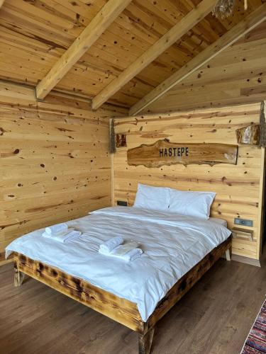 Afbeelding uit fotogalerij van HASTEPE DAĞ EVLERİ in Çamlıhemşin