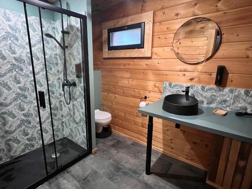 une salle de bain avec une douche, un lavabo et un miroir dans l'établissement JUNGLE - Le Domaine Wambrechies, à Wambrechies