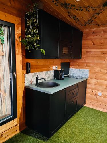 - une cuisine avec des placards noirs et un évier dans l'établissement JUNGLE - Le Domaine Wambrechies, à Wambrechies