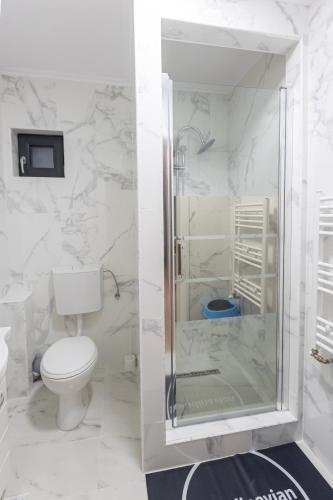 a bathroom with a toilet and a glass shower at Villa Class in Sînmartin