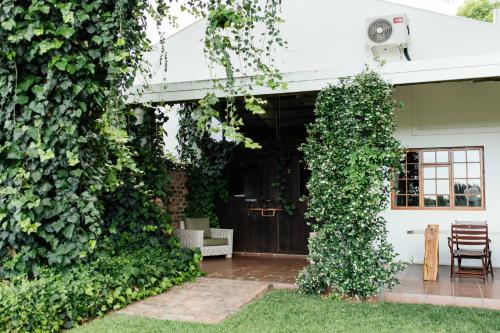 a house with ivy growing on the side of it at Upington African Vineyard Boutique Hotel & SPA in Kanoneiland