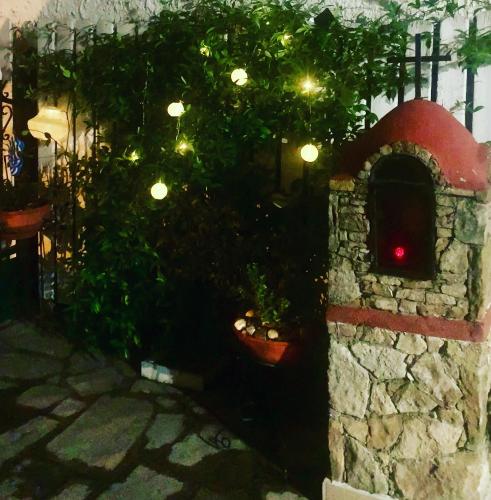 Κήπος έξω από το Hotel Exarhos