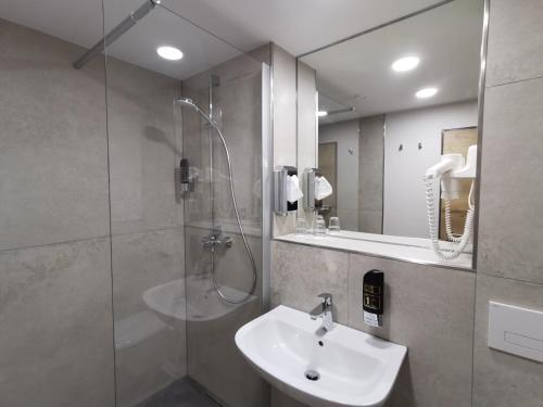 a bathroom with a sink and a shower and a mirror at Hotel am Regenbogen in Cham