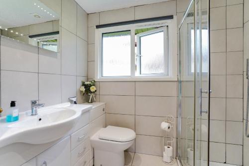 La salle de bains est pourvue de toilettes, d'un lavabo et d'une douche. dans l'établissement Cornish Holiday - 91 Hengar Manor, à Saint Tudy