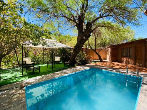 una piscina en un patio con un árbol en Hotel Jireh, en San Pedro de Atacama