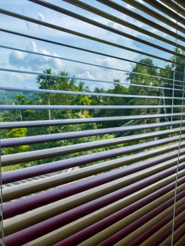 a window with blinds on it with a view of trees at Boscage Homestay in Kandy