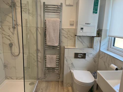 a bathroom with a shower and a toilet and a sink at Self contained annex with full kitchen in Witney