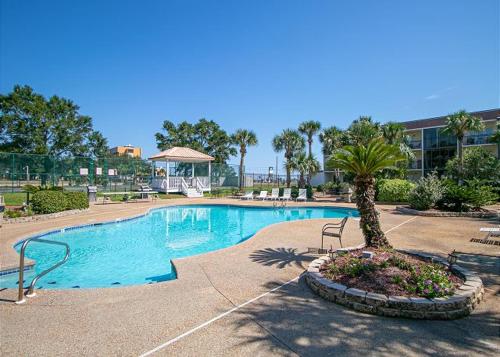 uma piscina com uma palmeira num resort em Fun 2 bed/2 bath condo with pool on Biloxi Beach em Biloxi