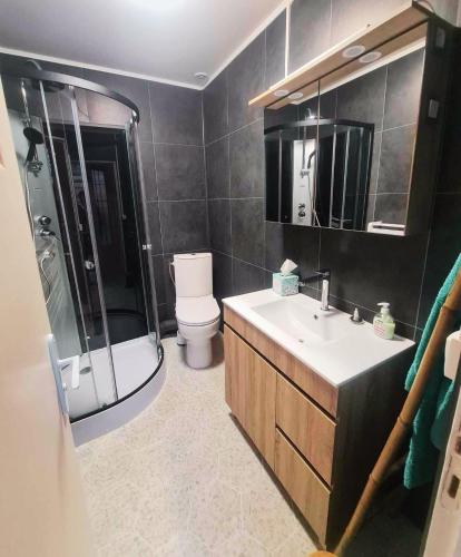 une salle de bain avec un lavabo, une douche et des toilettes dans l'établissement Home Sweet Home, à Bouglainval