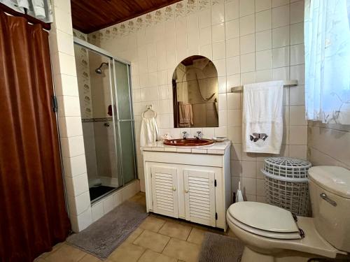 a bathroom with a toilet and a sink and a shower at GUESTHOUSE SHALOM in Springs