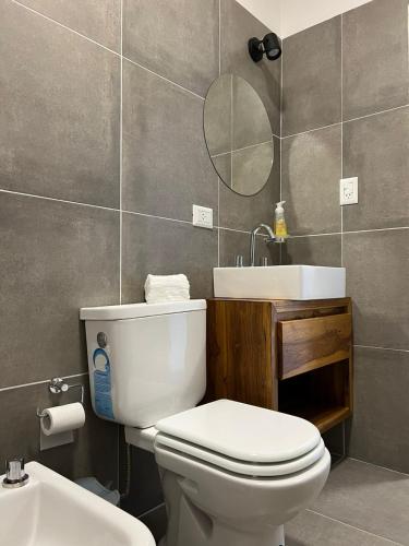 a bathroom with a toilet and a sink and a mirror at MODERNO DEPARTAMENTO PARA 3-4 PERSONAS, MUY BIEN UBICADO in Santiago del Estero