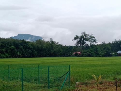 a fence in front of a green field at De Hampar Homestay in Kampong Merbok