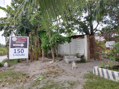 a dog standing next to a sign in front of a house at Punta Landing Travellers Inn in Surallah