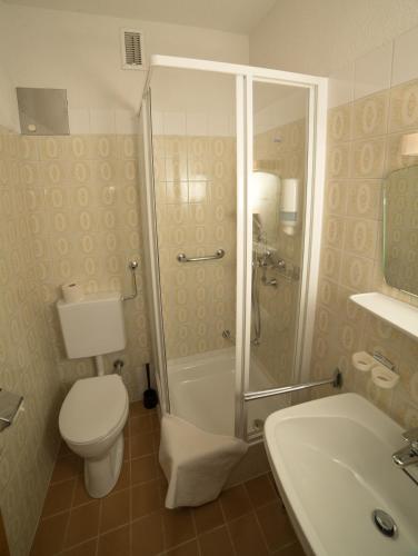a bathroom with a shower and a toilet and a sink at Dorfpension Mariahilfberg in Gutenstein