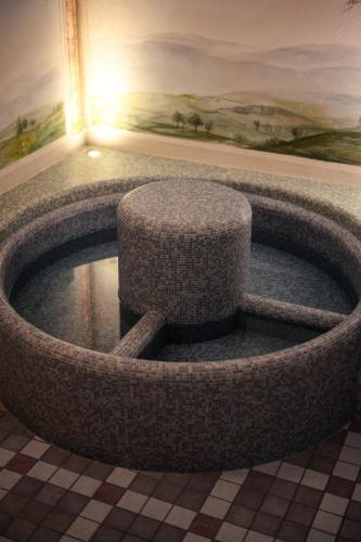 a large circular pool in a room with a painting at Apparthotel Sonnwies in Selva dei Molini