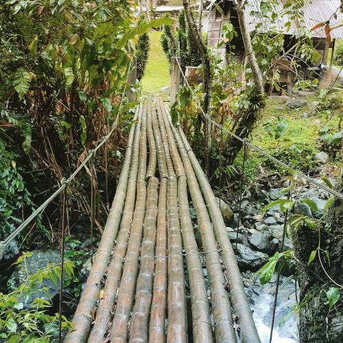 a bamboo bridge in the middle of a forest at Sapiens house cabaña del lago clásica in Cali