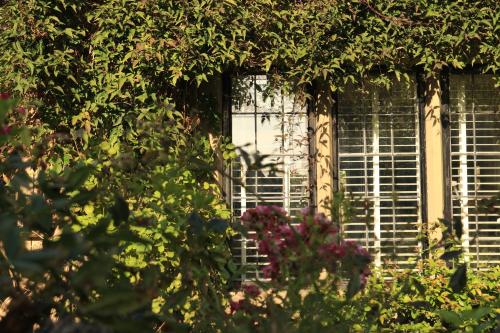 a window with a bunch of flowers in front of it at Beautiful Cottage in the Heart of Stow on the Wold in Stow on the Wold