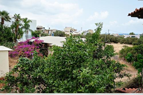 Blick auf einen Garten mit Pflanzen und Bäumen in der Unterkunft Nikos apartment in Malia