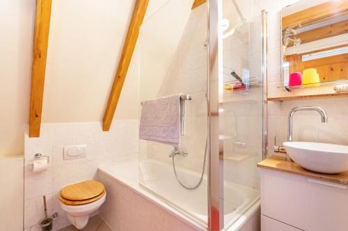 a bathroom with a shower and a toilet and a sink at Charmantes Ferienhaus mit Garten in Siegsdorf