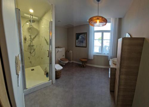 een badkamer met een douche en een toilet bij Le 11 en Pévèle in Templeuve