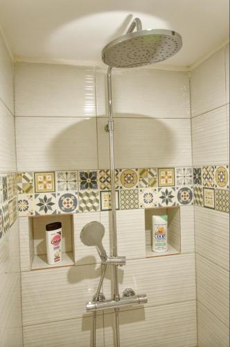 y baño con ducha con cabezal de ducha. en Le St Apollinaire n°3 - Ma Cabotte en Meximieux