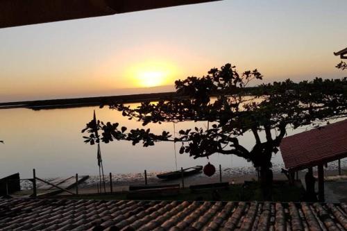 a tree in front of the ocean at sunset at LINDO SOBRADO COM 7 QUARTOS NA BARRA DO ITAPOCU in Paraty
