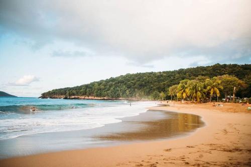 a beach with palm trees and people on it at Villa L'Artist en bord de mer avec piscine privée in Sainte-Rose