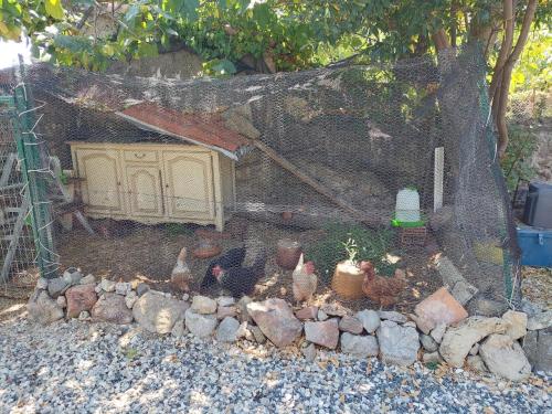 Φωτογραφία από το άλμπουμ του Les maisons de Gaïa Chambre d'hôte σε Tuchan