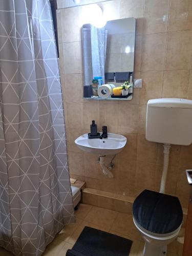 Koupelna v ubytování Apartman Ana