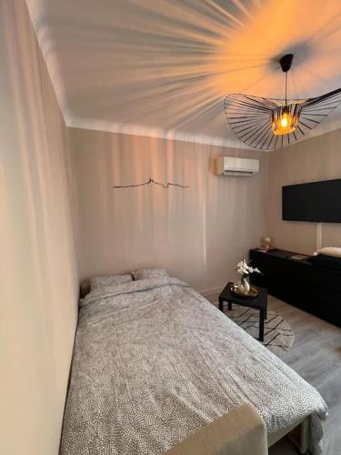 ein Schlafzimmer mit einem großen Bett in einem Zimmer in der Unterkunft Charmant T1 climatisé en centre ville / Paradis in Marseille