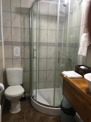 a bathroom with a shower and a toilet and a sink at Xalpen B&B in Puerto Natales