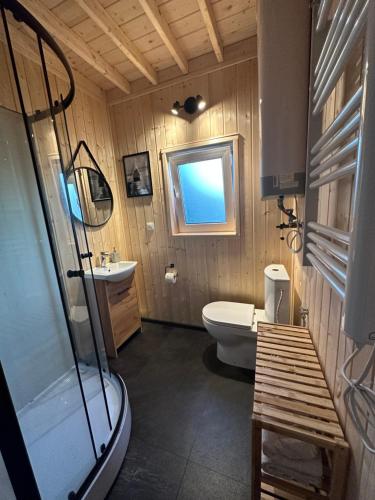 een badkamer met een toilet en een wastafel bij Islandzka chatka in Mżyki