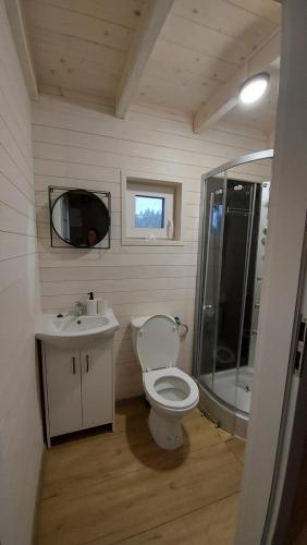 La salle de bains est pourvue de toilettes, d'un lavabo et d'une douche. dans l'établissement Farwne checze, à Wdzydze Kiszewskie