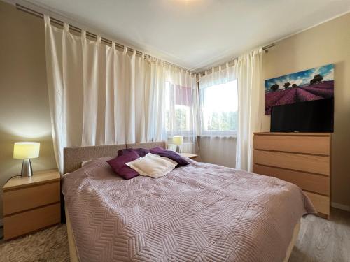 a bedroom with a bed and a tv and a window at Zdrojowa Sun Apartment in Świnoujście