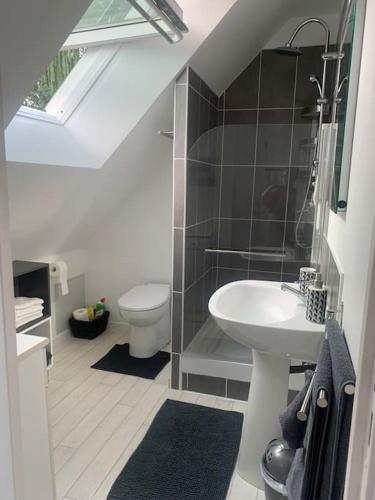 une salle de bain avec un lavabo et des toilettes dans l'établissement Au nid douillet, à Donnery