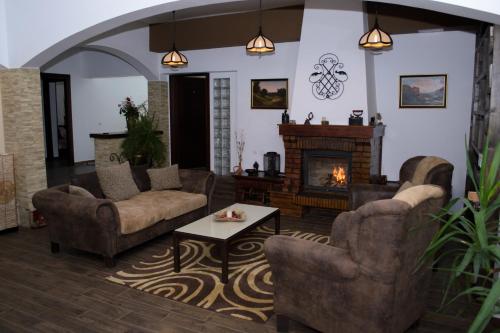 sala de estar con 2 sofás y chimenea en Pensiunea Tobo, en Baia de Fier